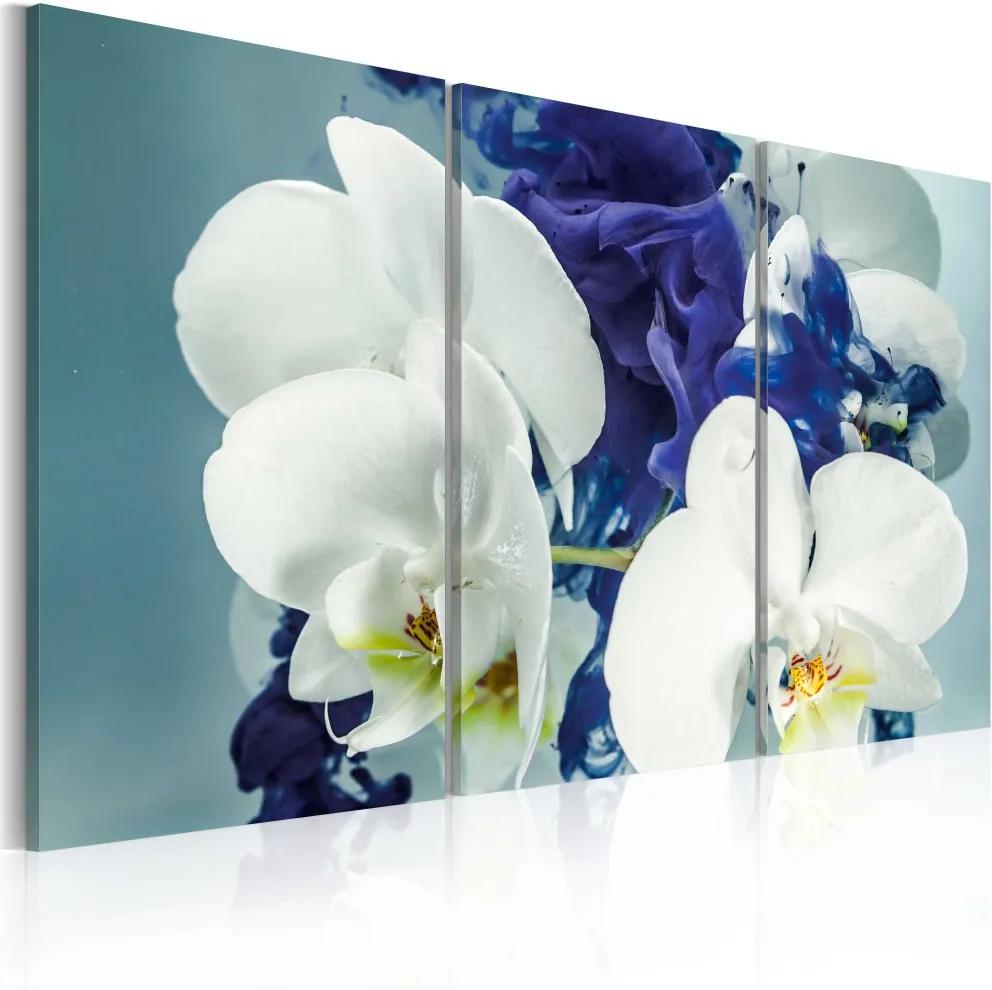 Tablou Bimago - Chimerical orchids 60x40 cm