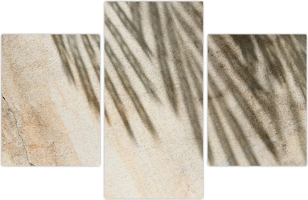 Tablou - Umbre (90x60 cm)