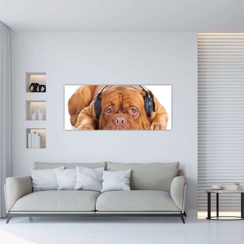 Tablou câinele cu căști (120x50 cm)
