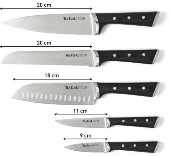 Set de cuțite în suport Tefal ICE FORCE 6 buc.