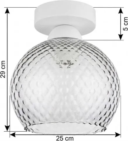 BRILAGI - Plafonieră LED R GLASS 1xE27/60W/230V Ø 25 cm alb/gri fumuriu
