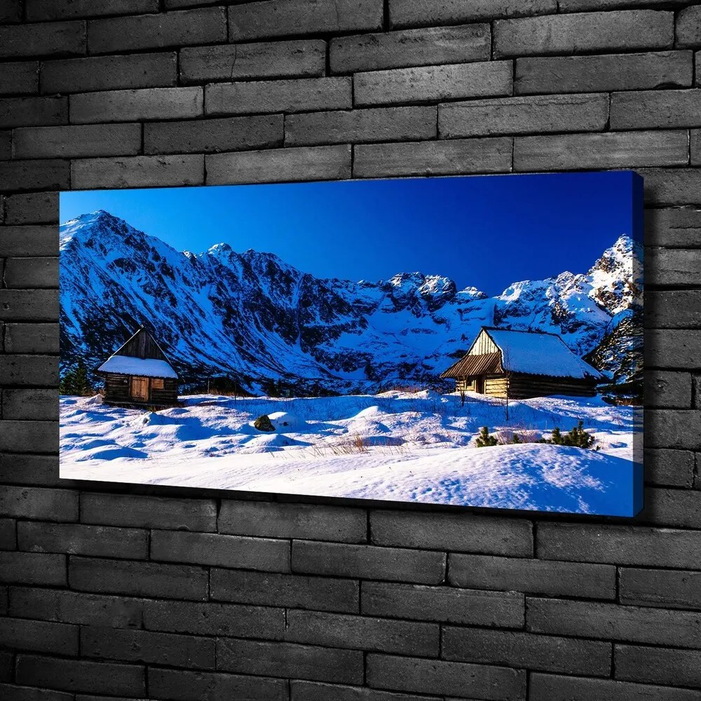 Tablou canvas Case în munții tatra