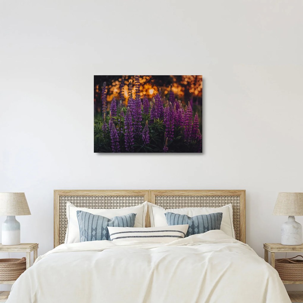 Tablou pe sticlă - Flori de lupin (70x50 cm)