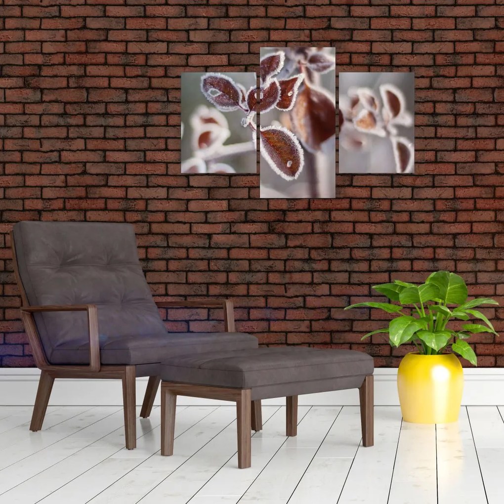 Tablou - Detaliu frunze (90x60 cm)