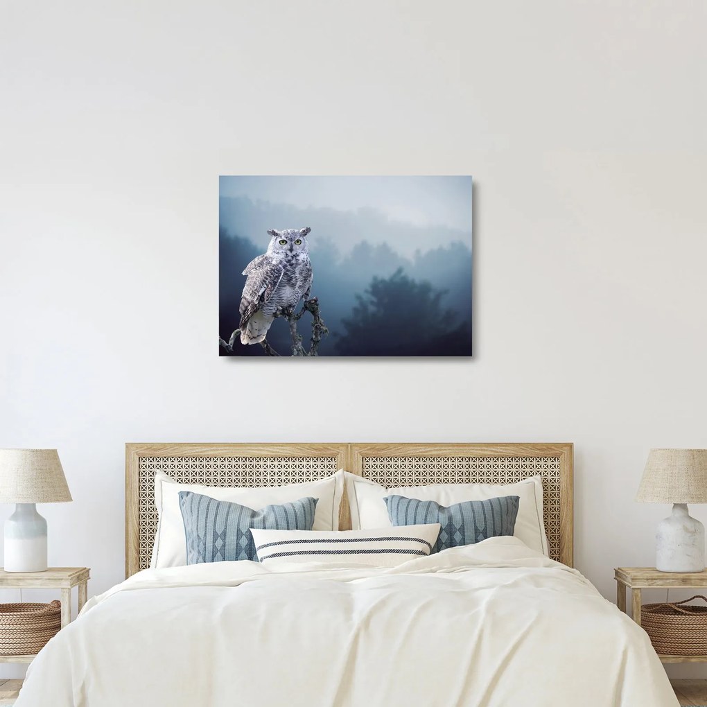 Tablou pe sticlă - Bufniță de zăpadă (70x50 cm)