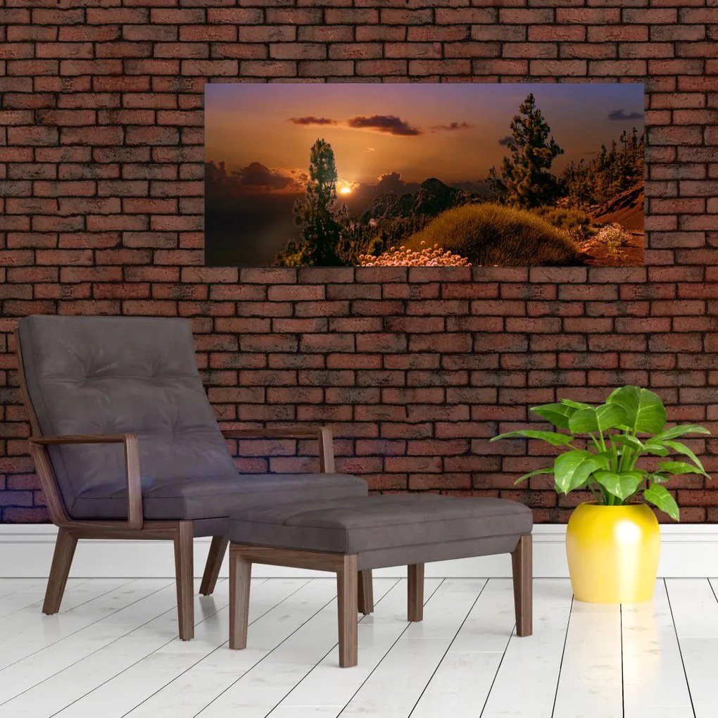 Tablou naturii cu apus de soare (120x50 cm)