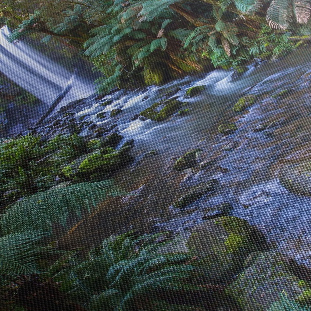 Tablou cu pădurea ploilor din Austalia (cu ceas) (90x30 cm)