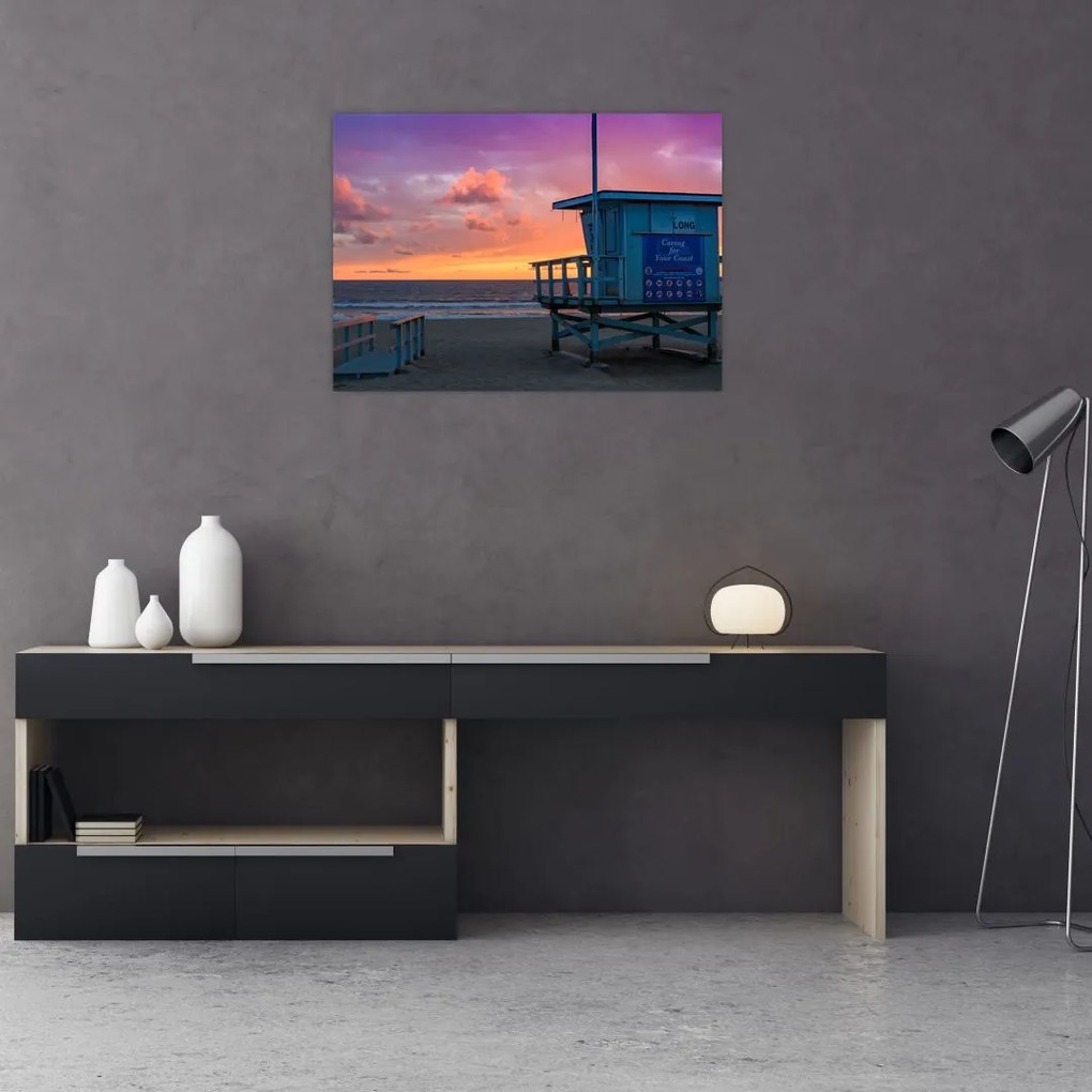 Tablou de pe plaja Santa Monica (70x50 cm)
