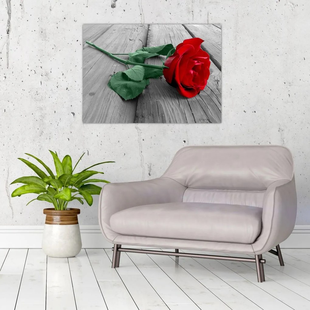 Tablou pe sticlă - Trandafir roșu cu tulpină verde (70x50 cm)