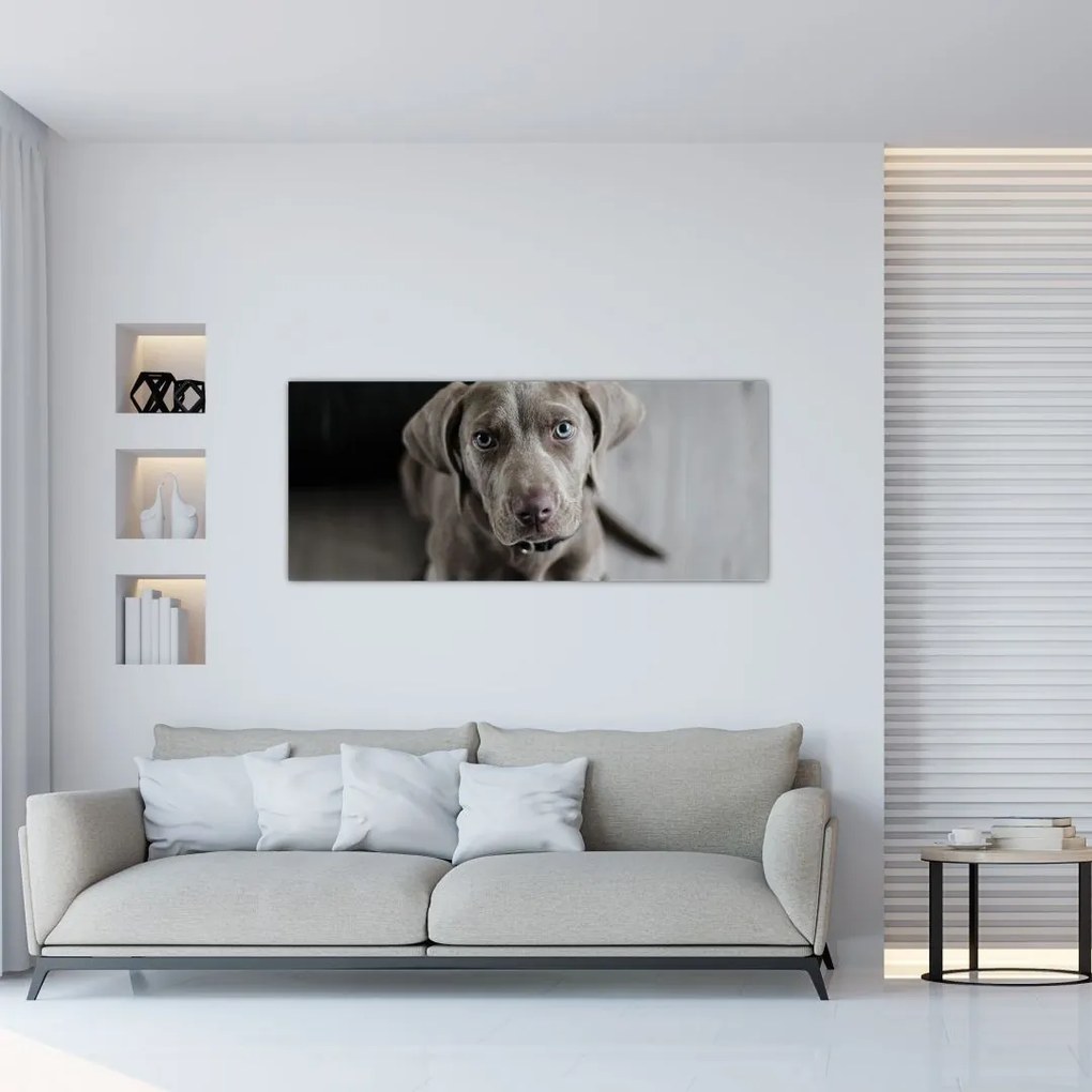 Tablou cu cățeluș (120x50 cm)
