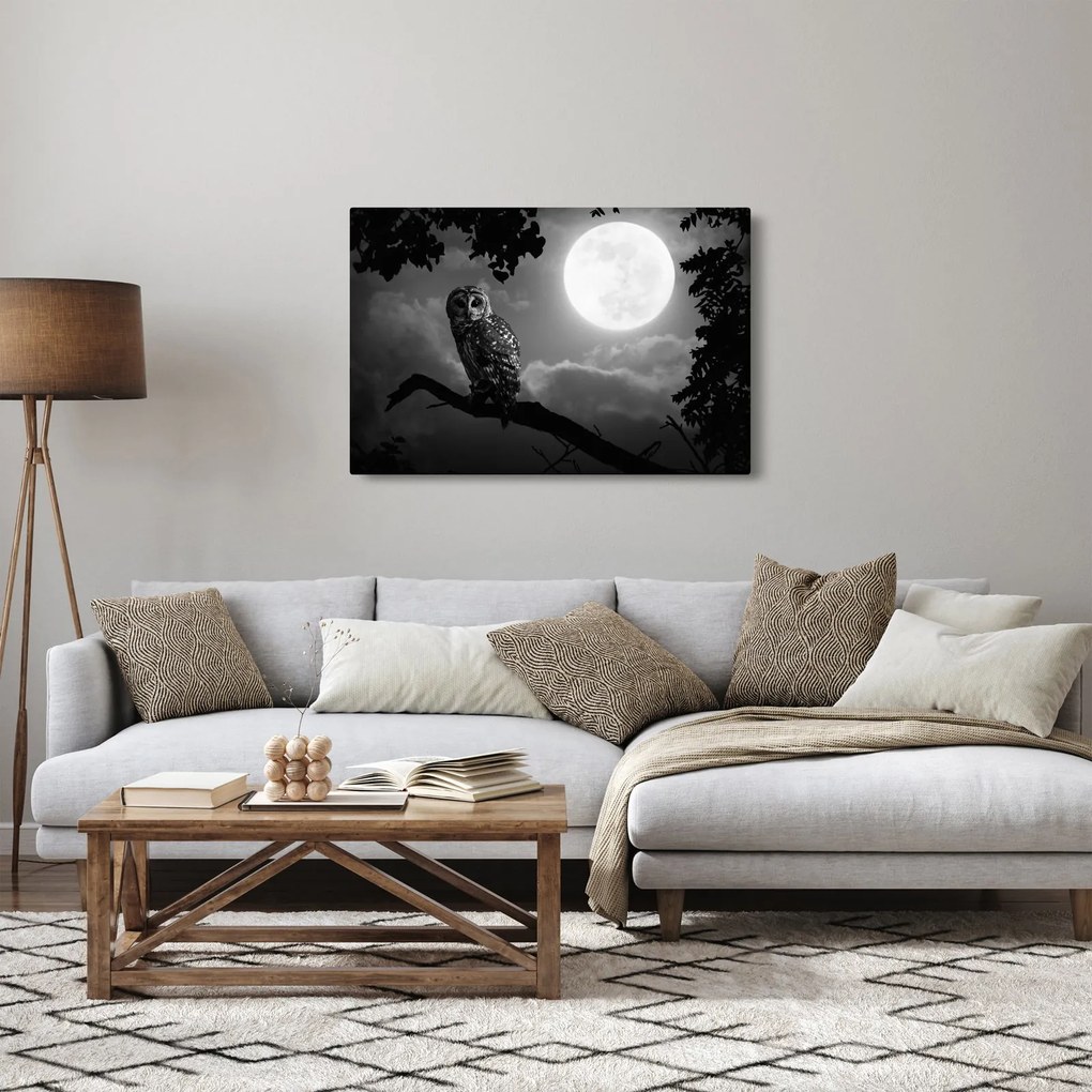 Tablou - Bufniță de noapte, alb și negru (90x60 cm)