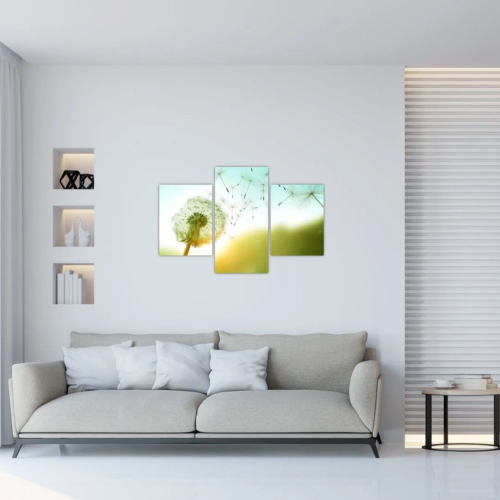 Tablou - Păpădia în vânt (90x60 cm)