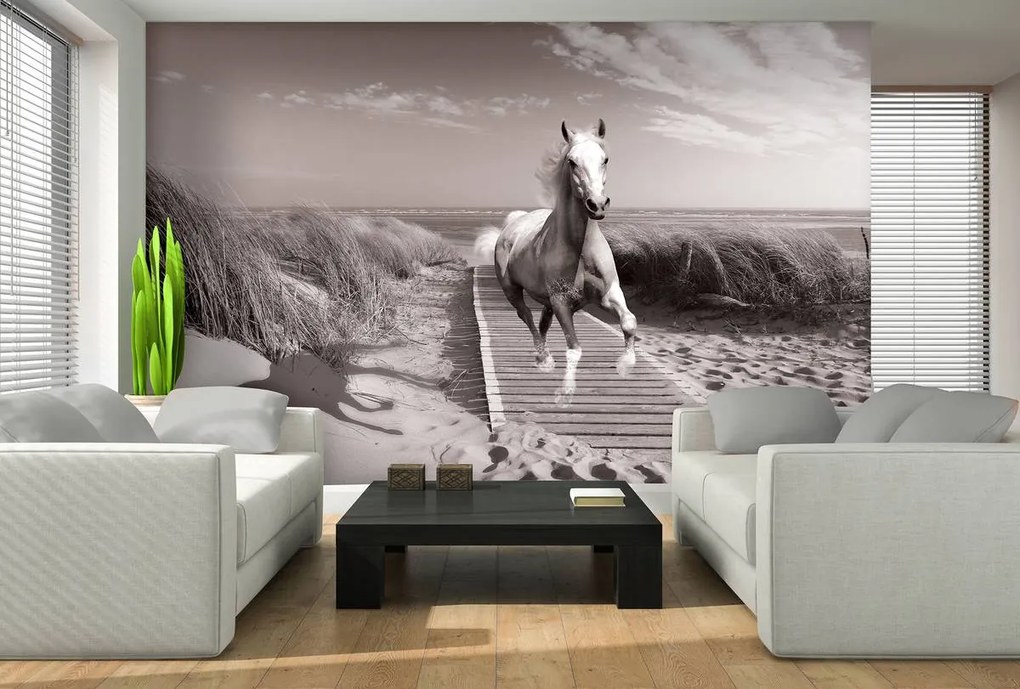 Fototapet - Galop pe plajă (152,5x104 cm)