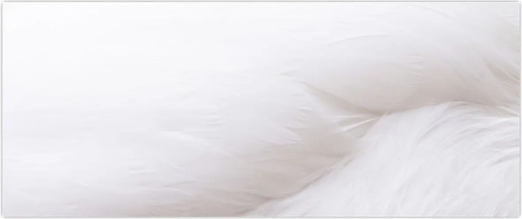 Tablou - Detalii pene (120x50 cm)