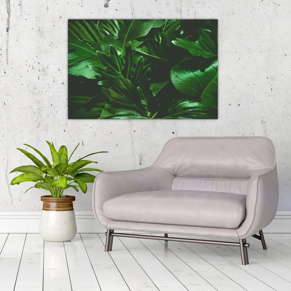 Tablou - Frunze de palmier (90x60 cm)