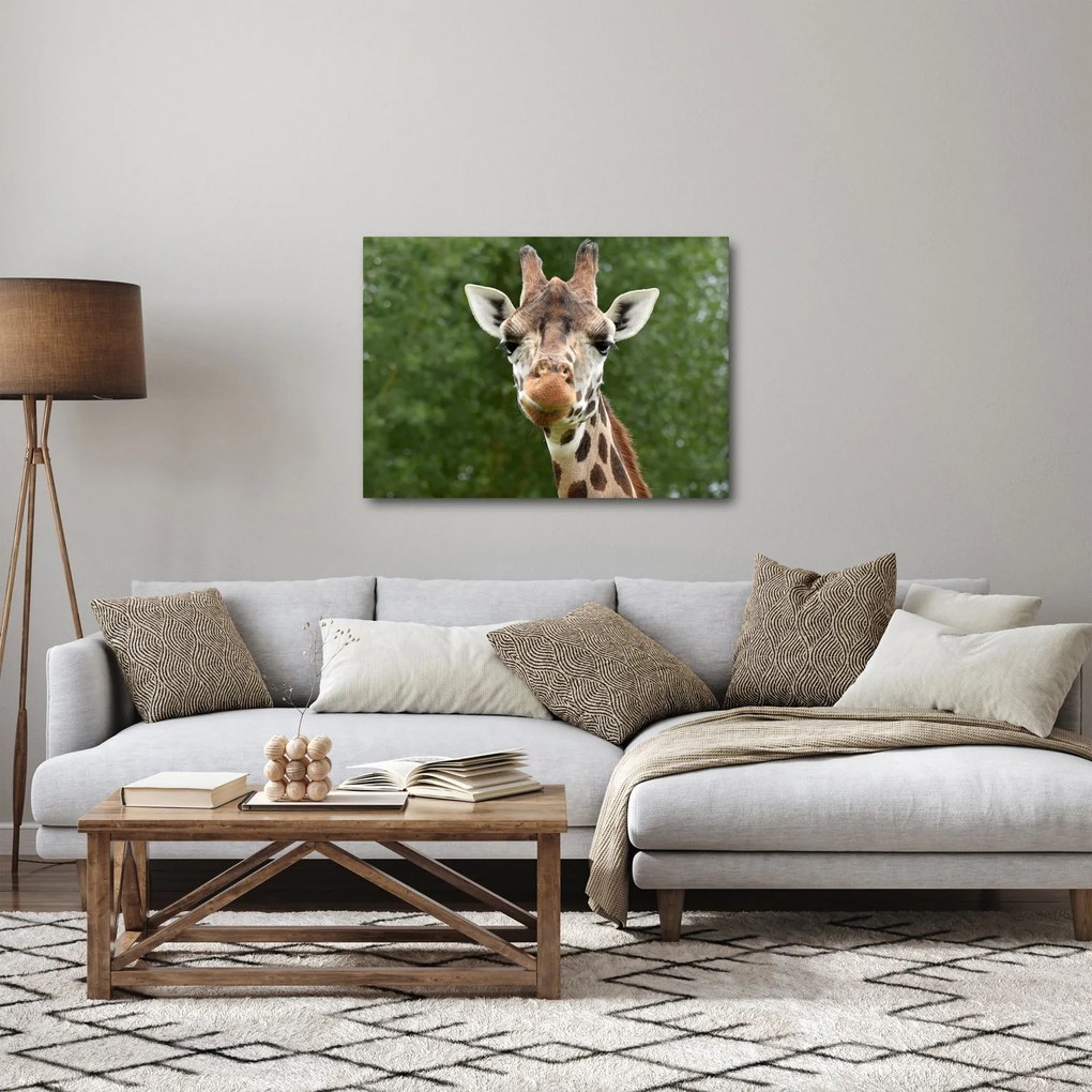 Tablou cu girafa (70x50 cm)