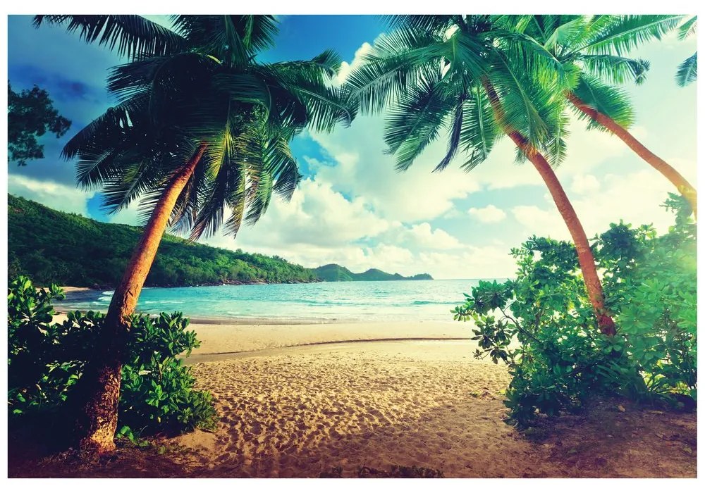 Fototapet apus de soare pe insula Seychelles