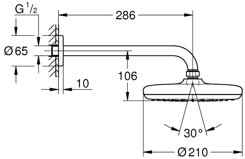 Palarie dus fix Grohe Tempesta 210, O21 cm cu brat, montaj pe perete
