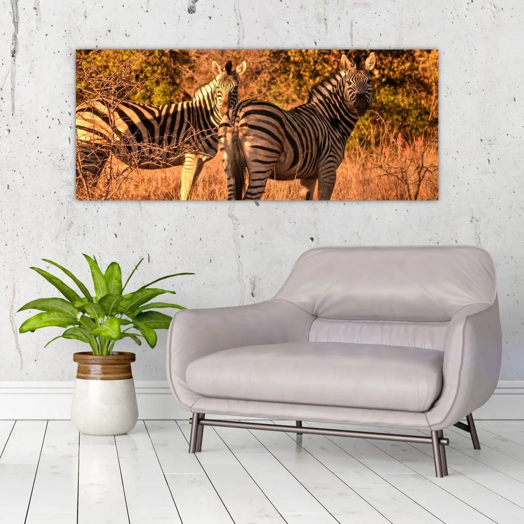 Tablou cu zebre (120x50 cm)