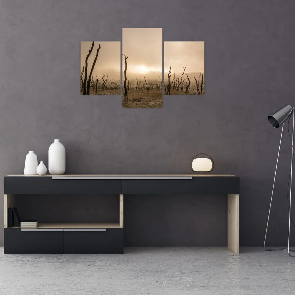 Tablou - Copaci goi (90x60 cm)