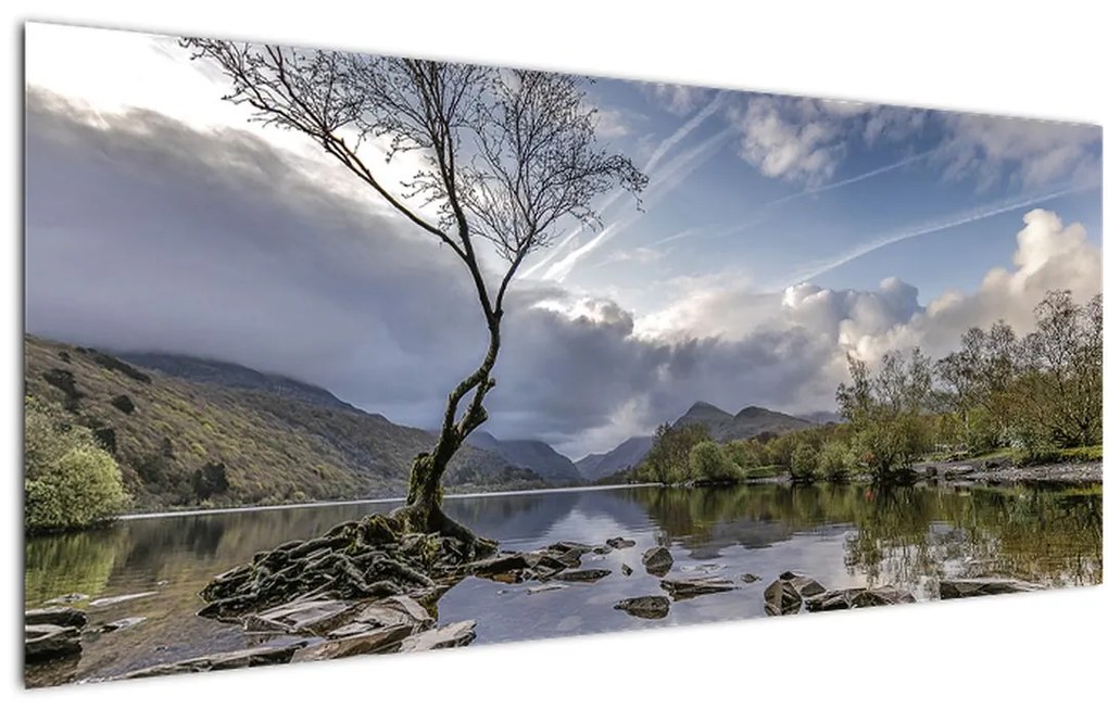 Tablou cu râu și copac (120x50 cm)