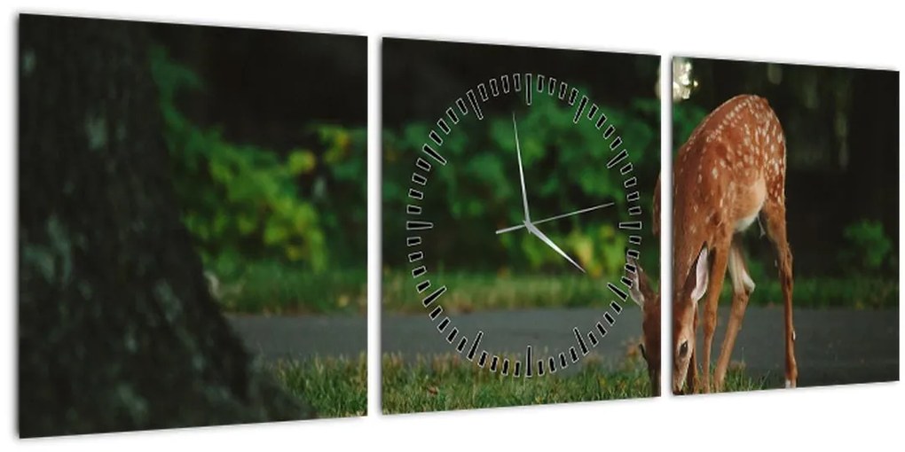 Tablou cu pui de cerb (cu ceas) (90x30 cm)