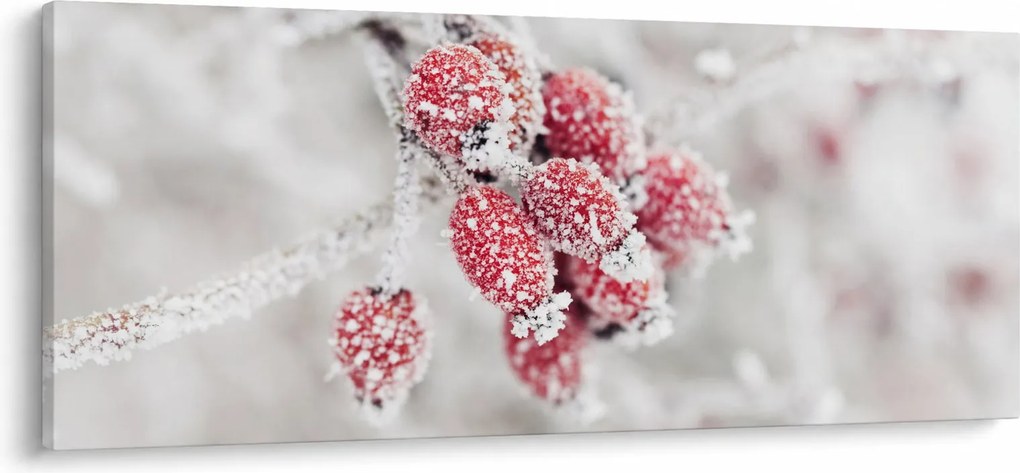Tablou - Fructe congelate (120x50 cm)