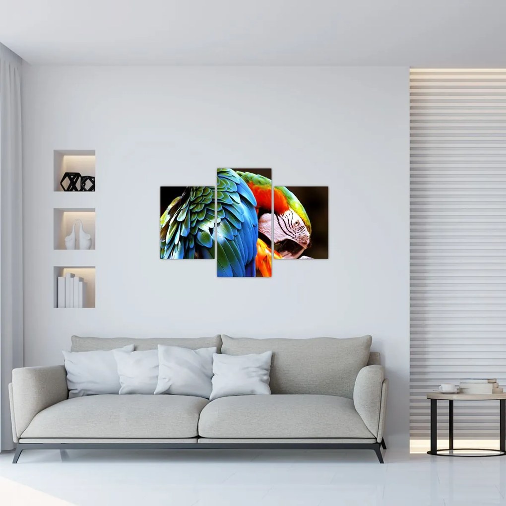 Tablou - Papagal (90x60 cm)