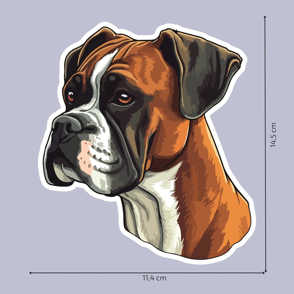 PIPPER. Autocolant Boxer mărimea: 15cm