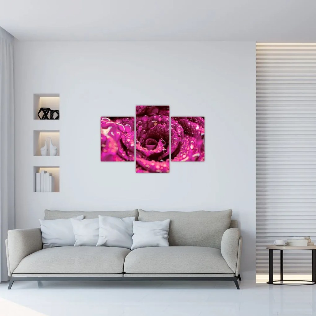 Tabloul cu floarea trandafirului roz (90x60 cm)