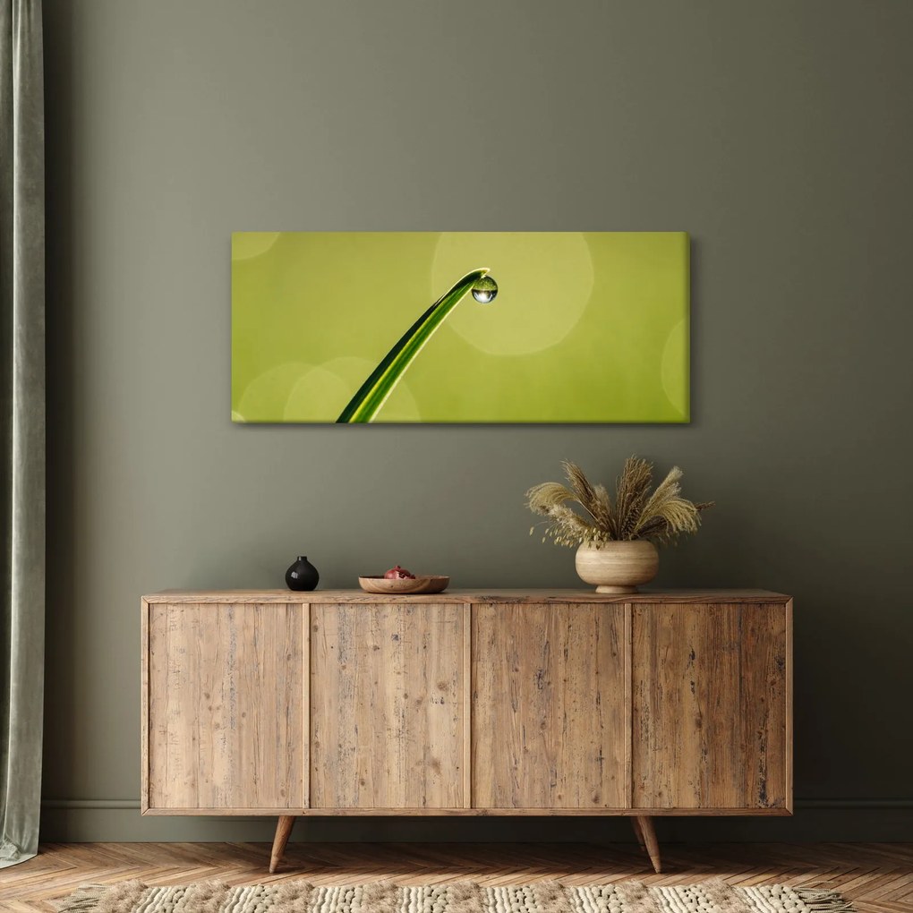 Tablou cu picătură de apă pe iarbă (120x50 cm)