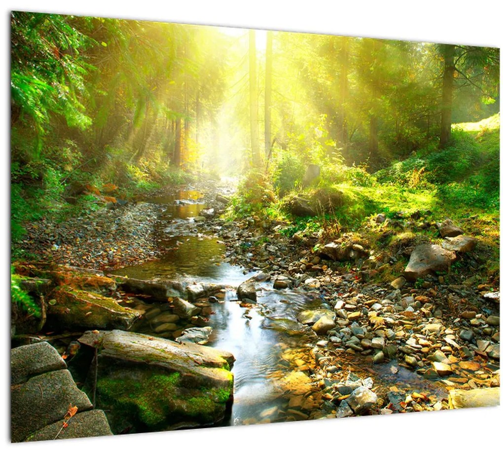 Tablou pe sticlă cu râul în pădurea verde (70x50 cm)