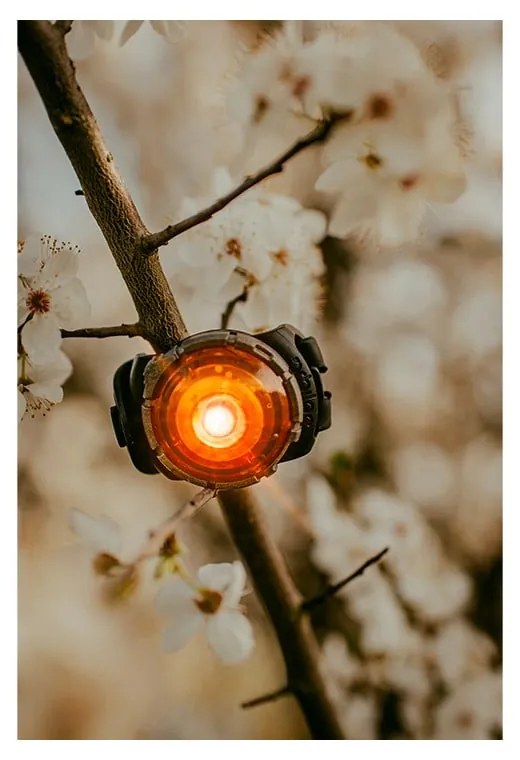 Lanternă LED pentru zgardă Amber – Orbiloc