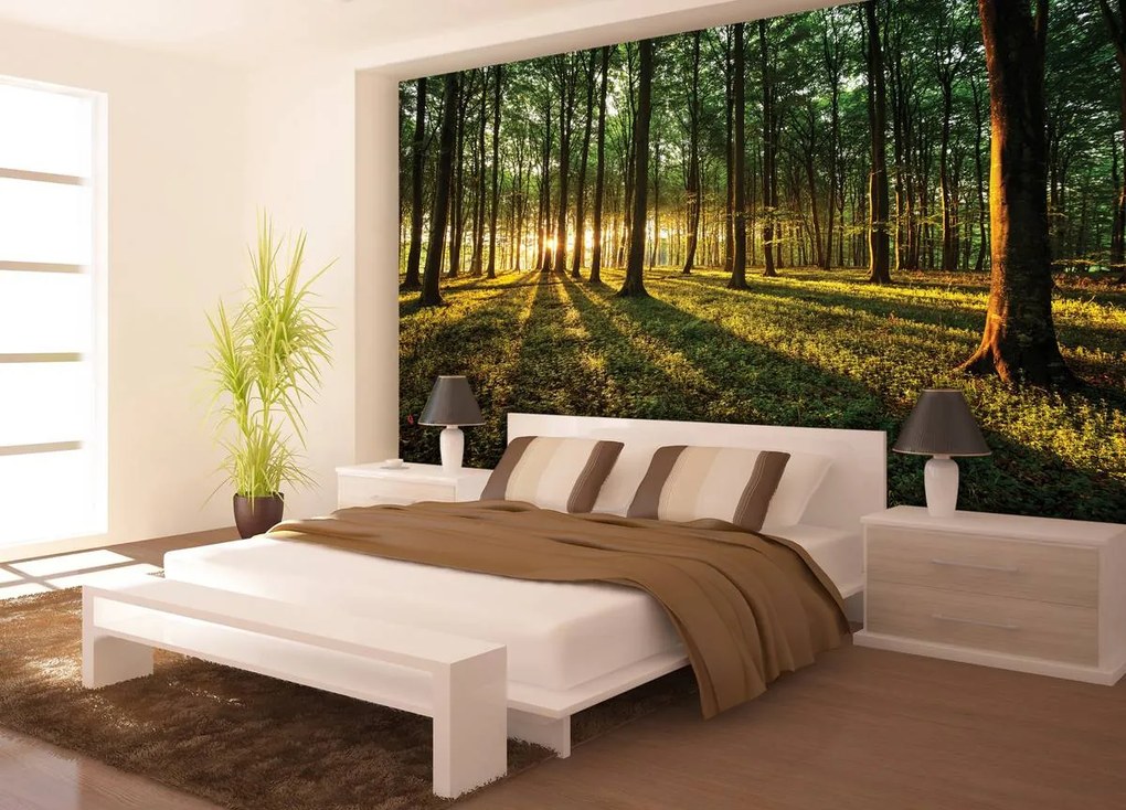 Fototapet - Pădure (152,5x104 cm)