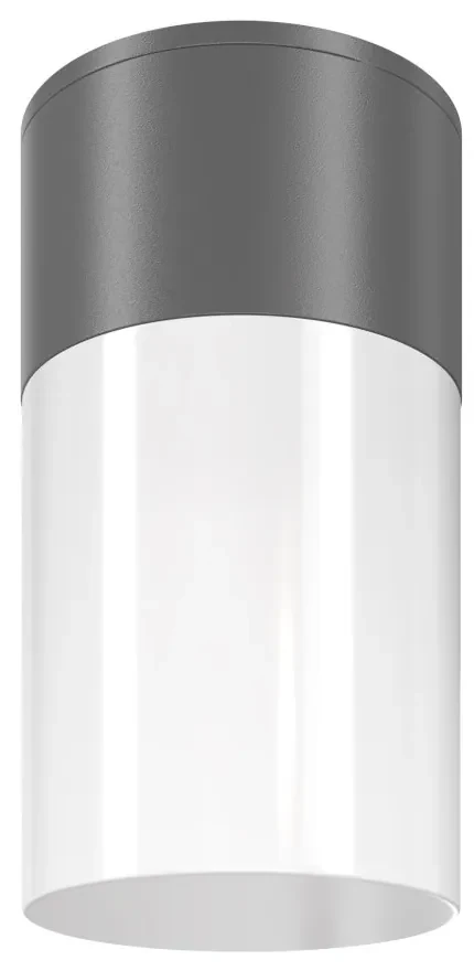Spot aplicat, plafoniera pentru iluminat exterior IP54 Willis gri