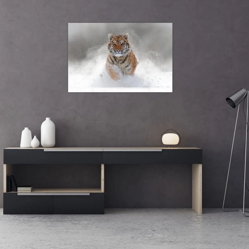 Tablou cutigru fugind prin zăpadă (90x60 cm)