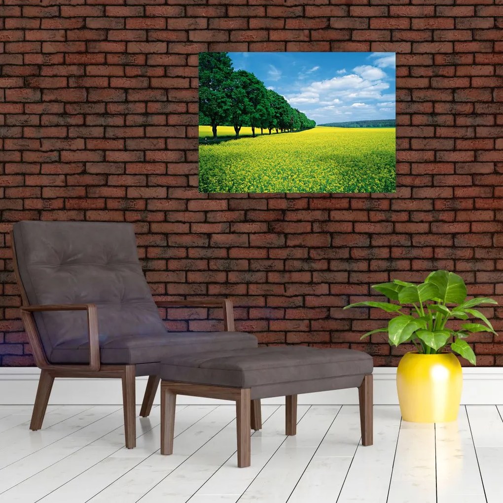 Tablou pe sticlă - Câmp cu alei (70x50 cm)