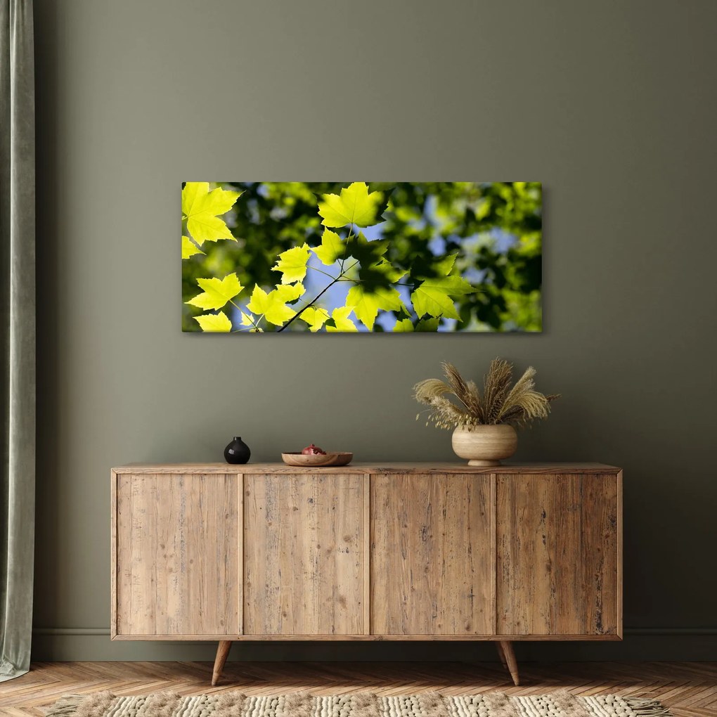 Tablou - frunze de arțar (120x50 cm)