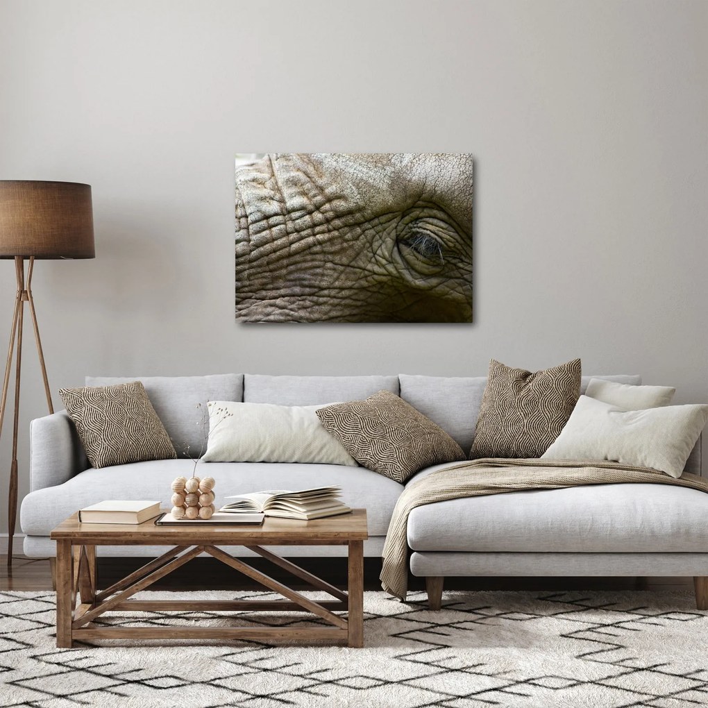 Tablou - Prim-planul ochiului de elefant vechi (70x50 cm)