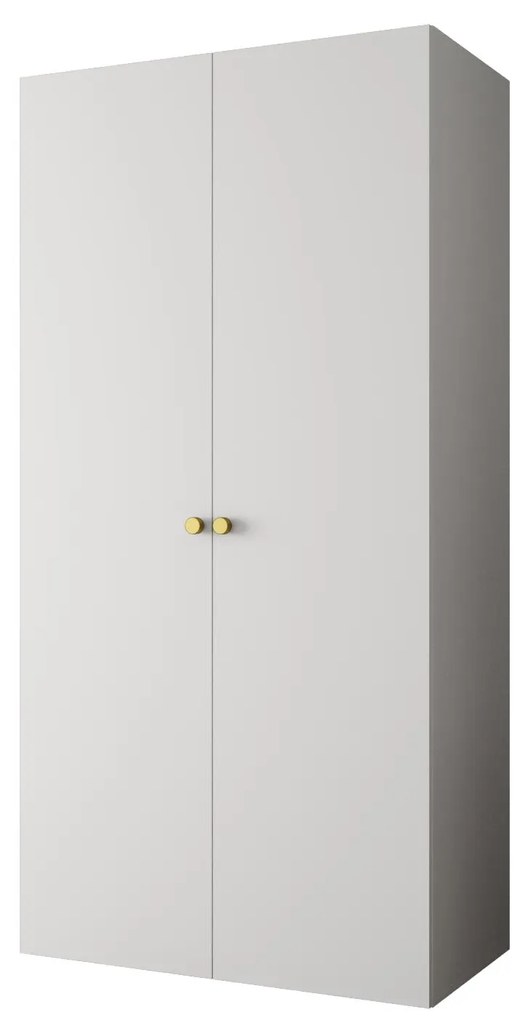 Dulap de haine 100 cm Parna 1 (alb + Auriu). 1125859