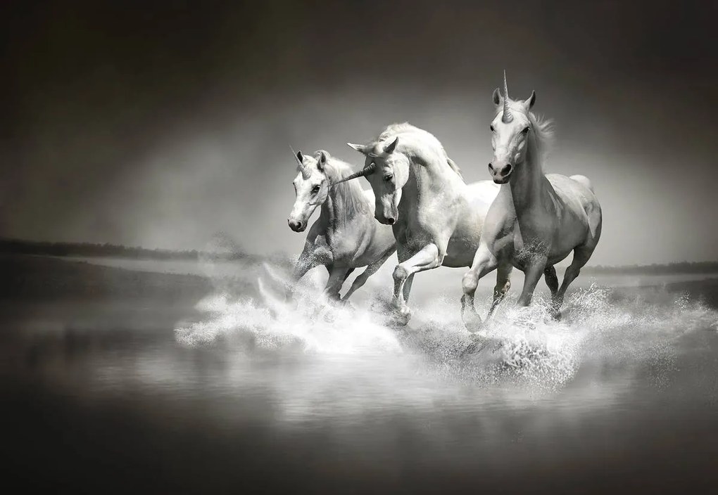 Fototapet - Unicorn (254x184 cm)