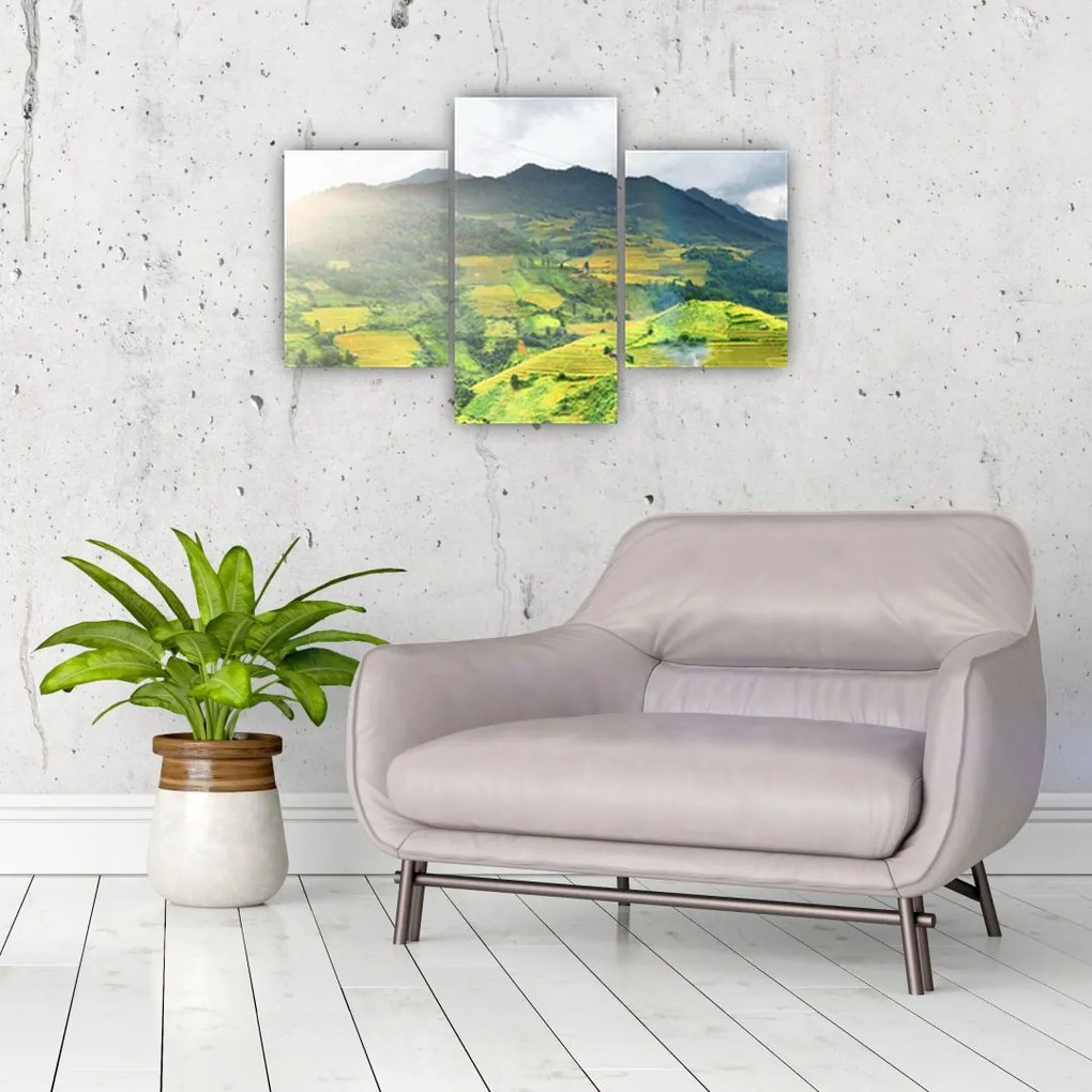 Tablou plantație (90x60 cm)