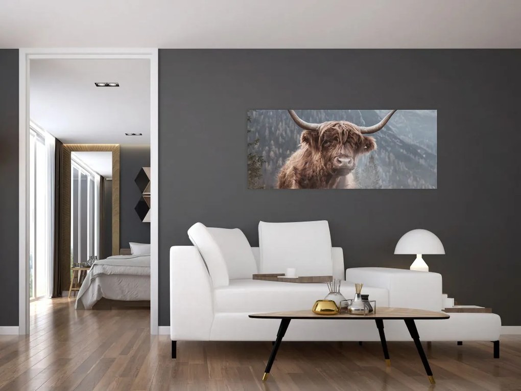 Tablou - Vaca Highlander (120x50 cm)