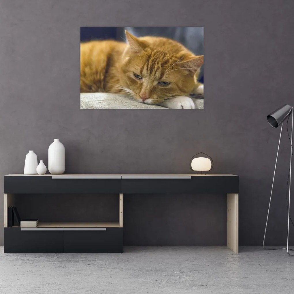 Tablou cu pisica (90x60 cm)