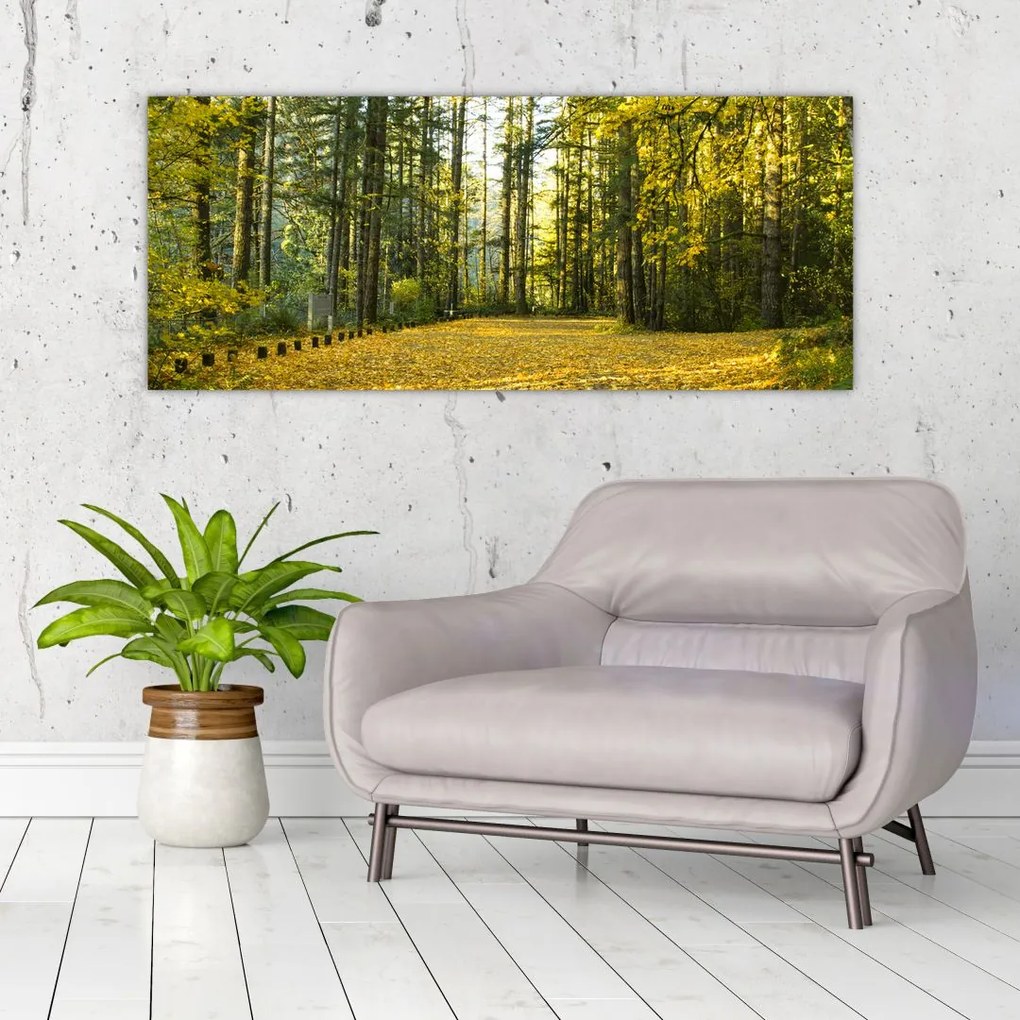 Tablou - pădurea toamna (120x50 cm)