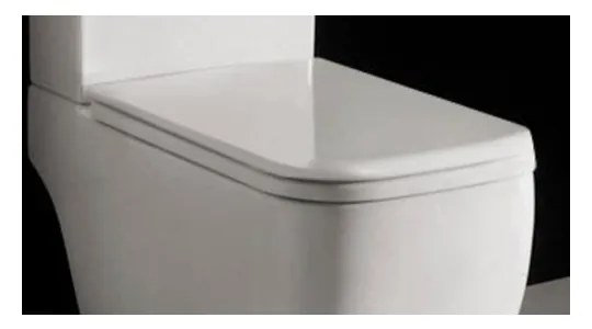 Capac wc softclose Rak Ceramics Metropolitan