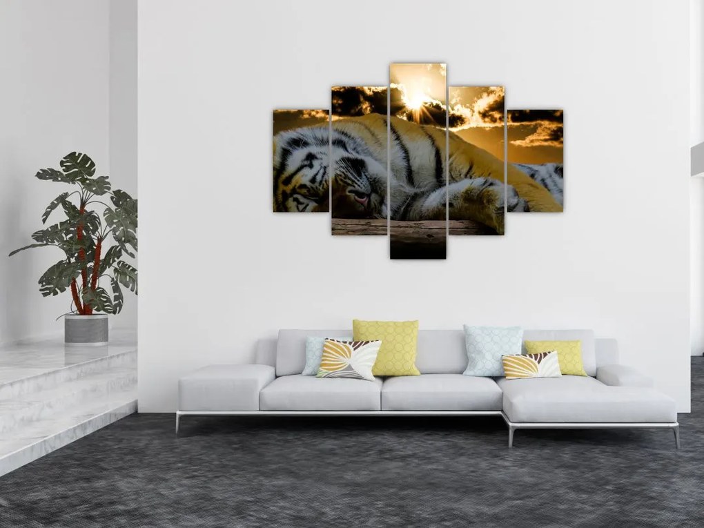 Tablou tigrul dormind (150x105 cm)