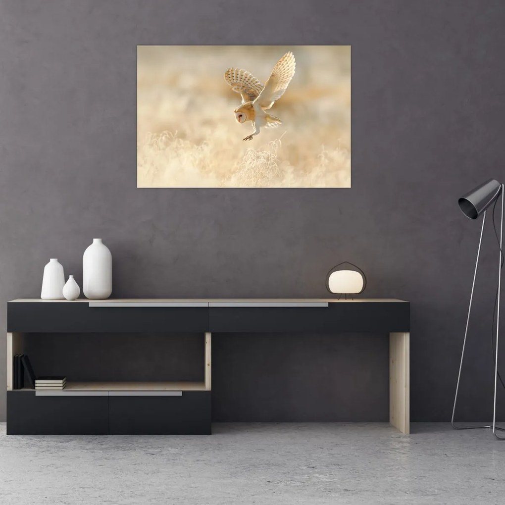 Tablou - Bufniță (90x60 cm)