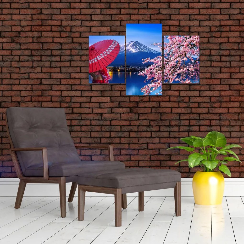 Tablou - cu privire la munte - Japonia (90x60 cm)