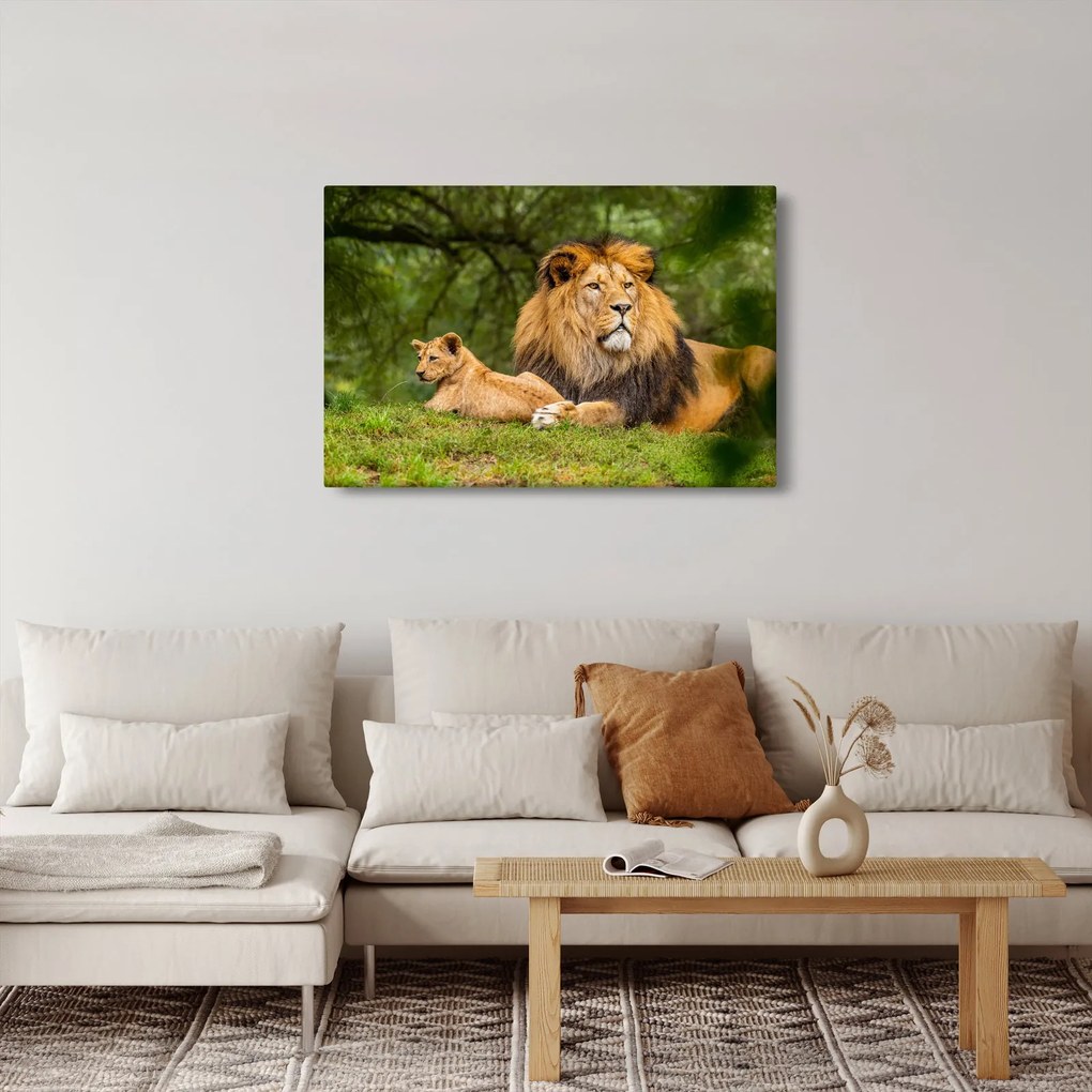 Tablou cu lei (90x60 cm)